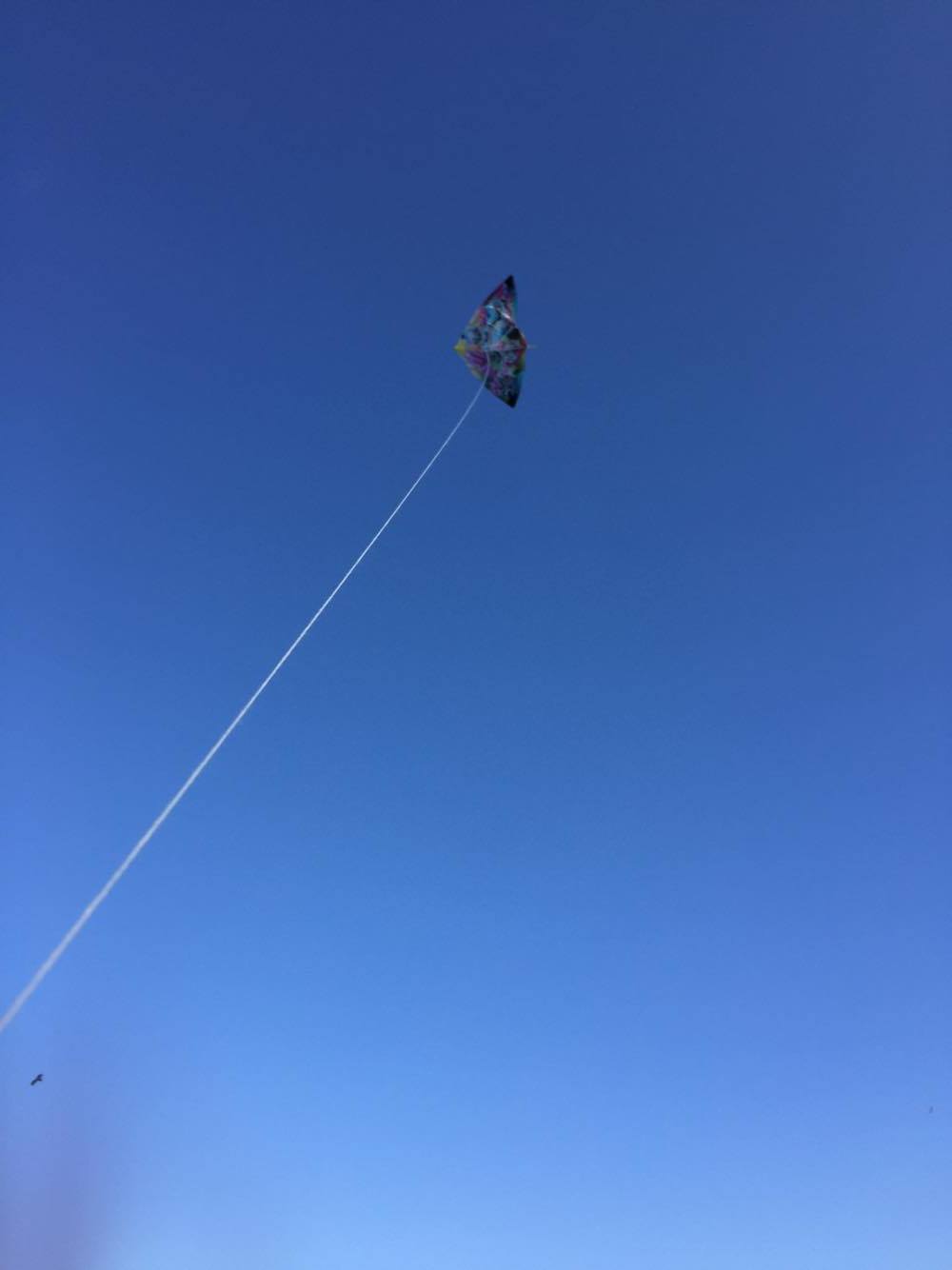 南知多の青い空と凧揚げ！