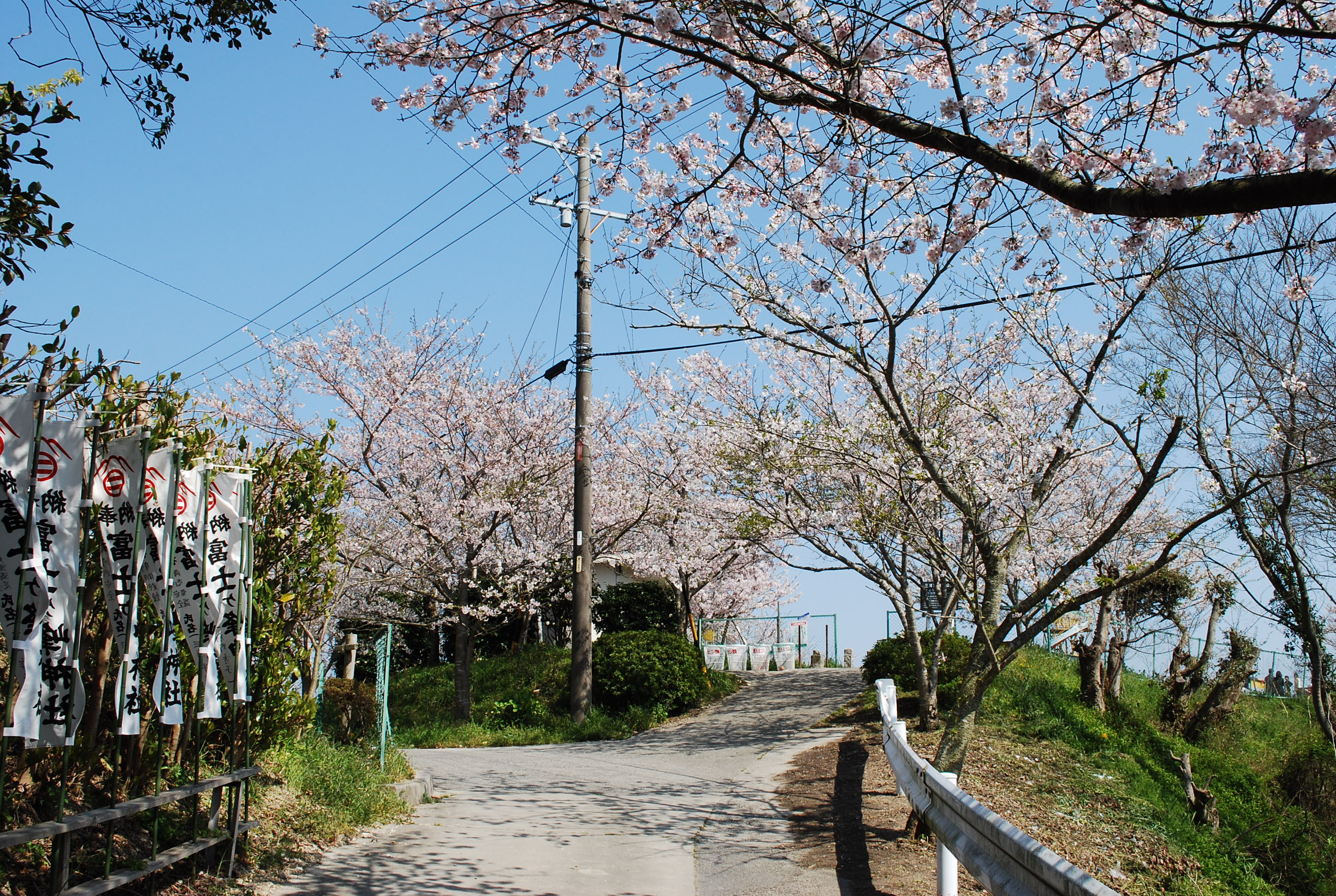 豊浜　桜公園