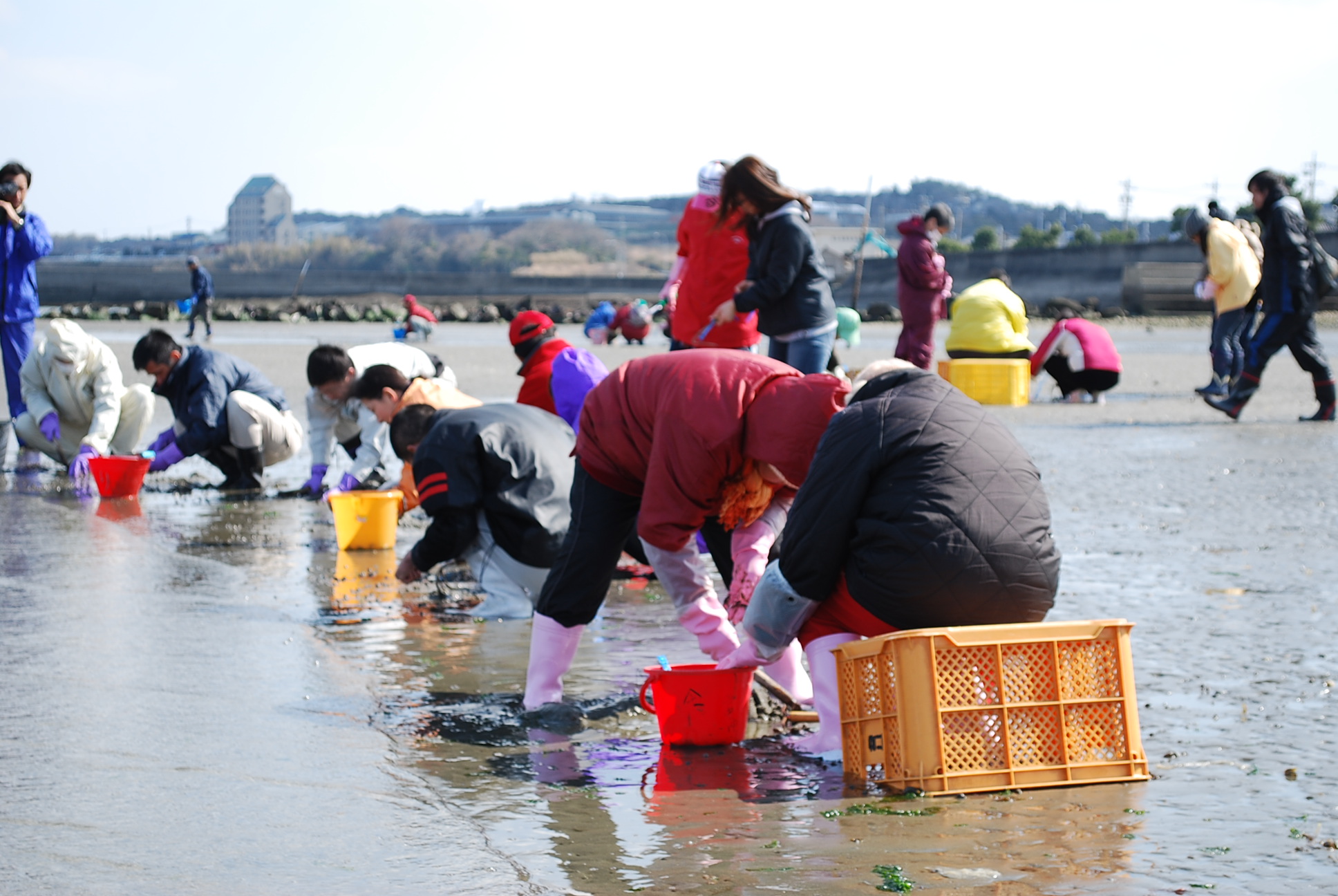 今が旬 愛知県はアサリ漁獲量全国１位 ウミひとココロ 海のある生活